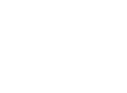 Frau DJ